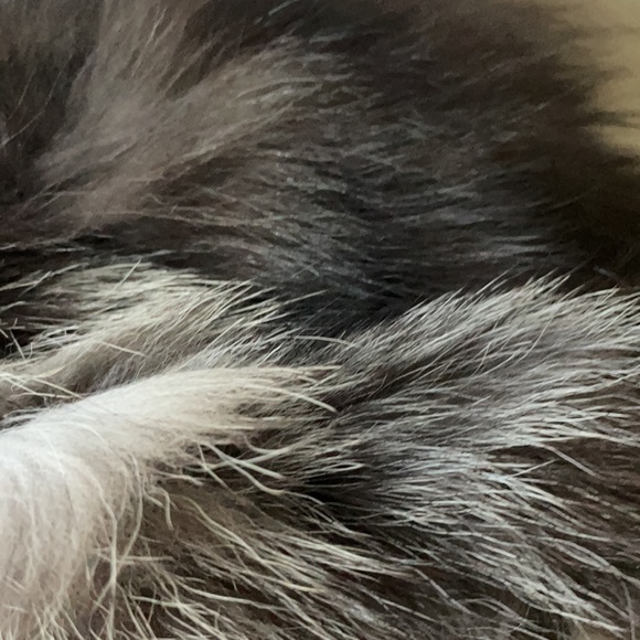 HUGE real fox fur satchel NWT - Picture 13 of 16